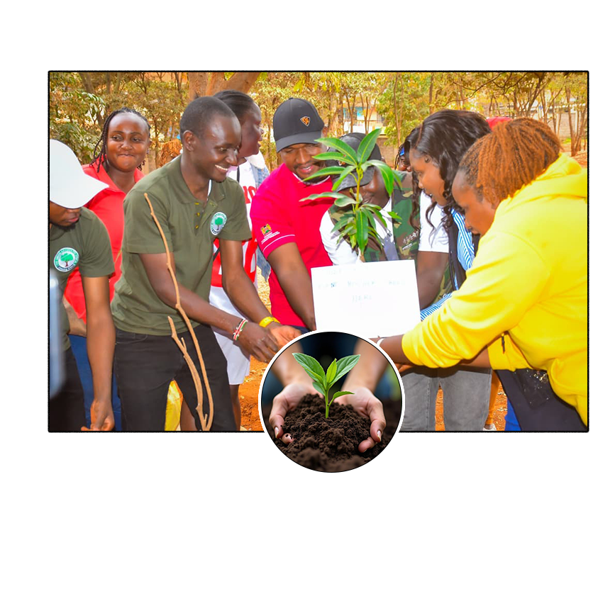 final tree planting